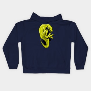 Raptor Attack! Kids Hoodie